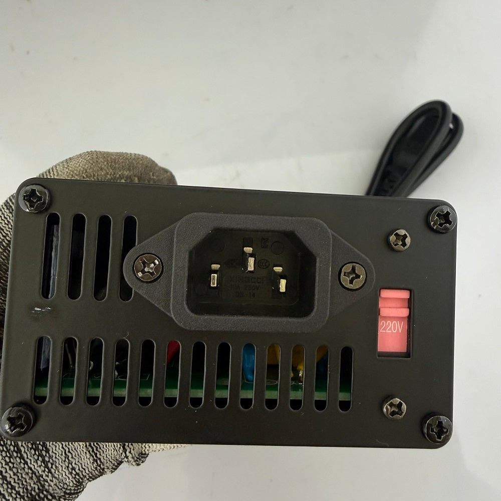 84V 5A Fast Charger for Li-ion E-Bike Batteries (110-220V Input)